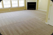 Complete carpet clean
